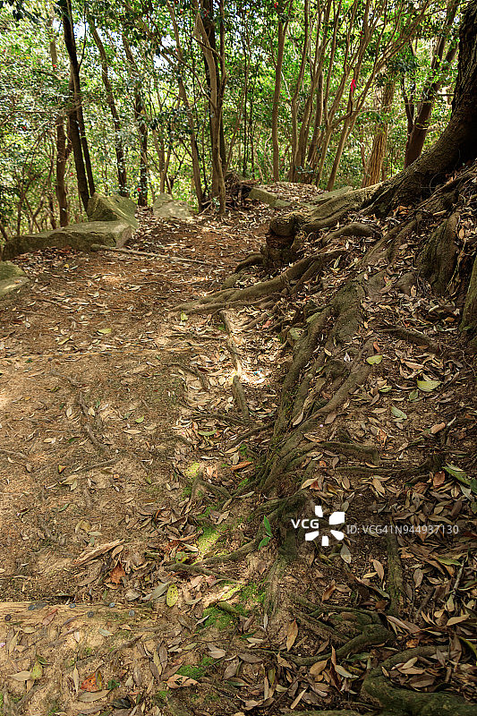 春天来了！图片素材