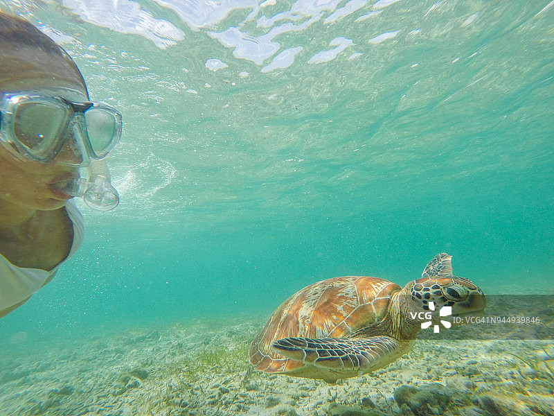 年轻女人在水下与绿海龟自拍，夏季度假图片素材