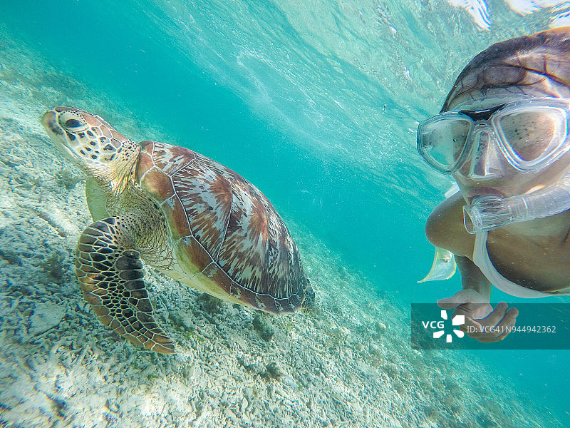 快乐的年轻女人在海龟旁边水下自拍图片素材
