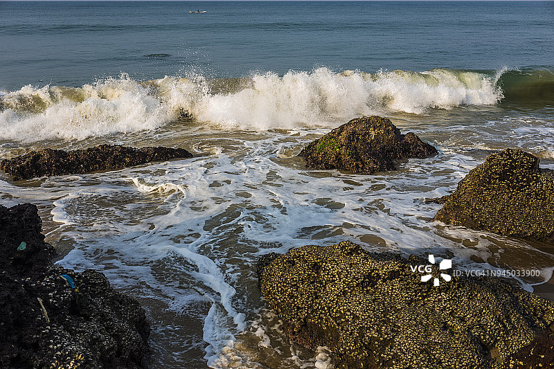 瓦卡拉海滩的波浪和白鹭图片素材