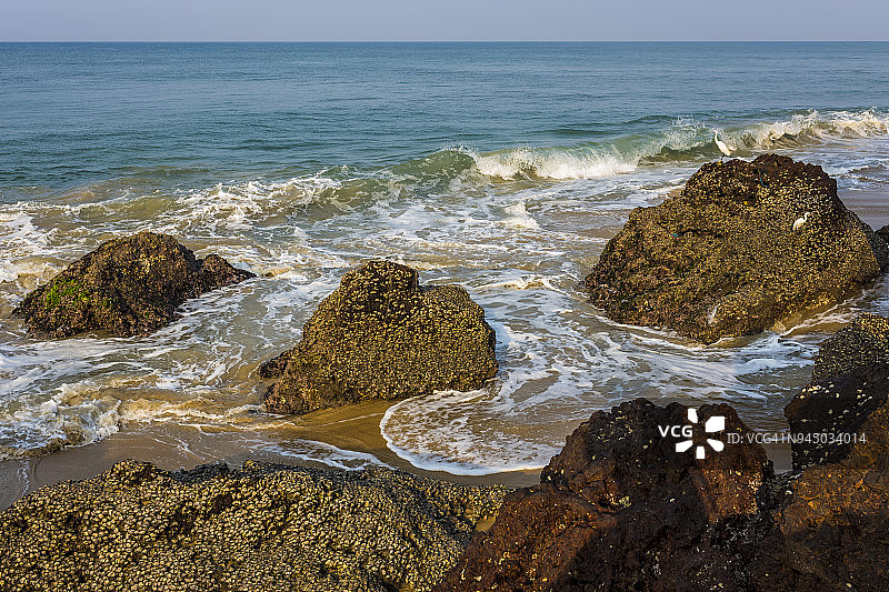 瓦卡拉海滩的波浪和白鹭图片素材