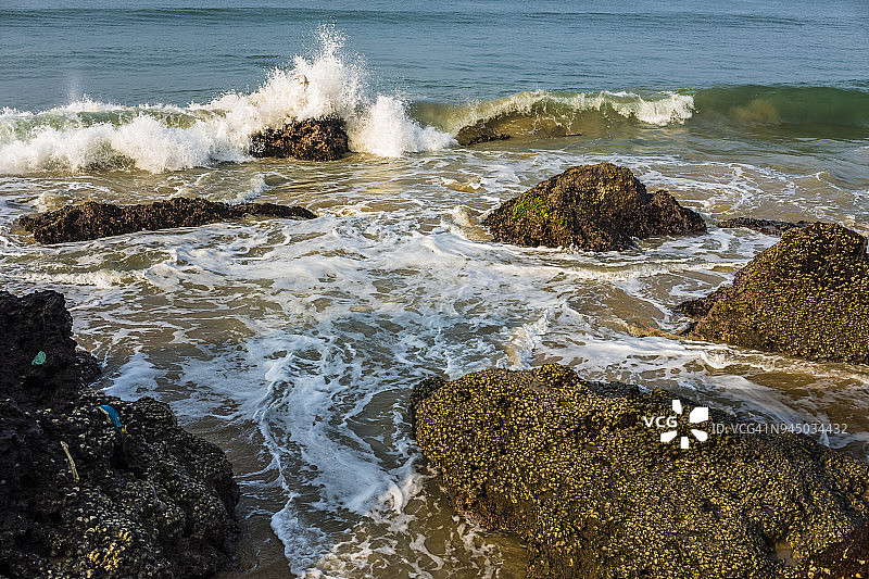 瓦卡拉海滩的波浪和白鹭图片素材