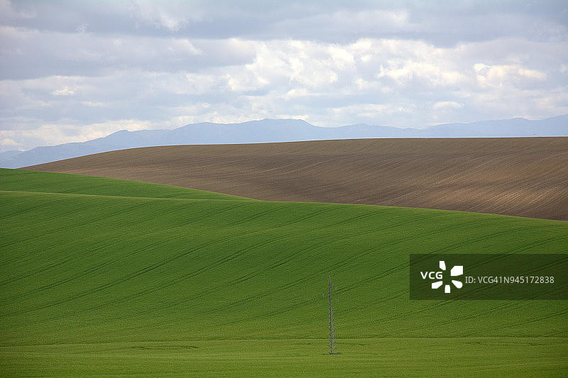 安达卢西亚的小麦田图片素材