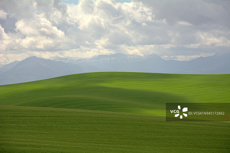 安达卢西亚的小麦田图片素材