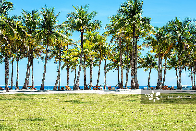 热带度假海滩假日背景图片素材