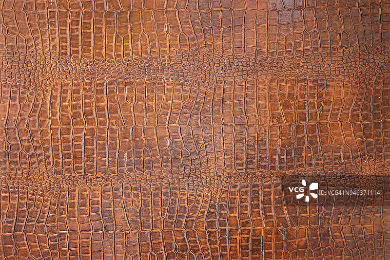 鳄鱼_b图片素材