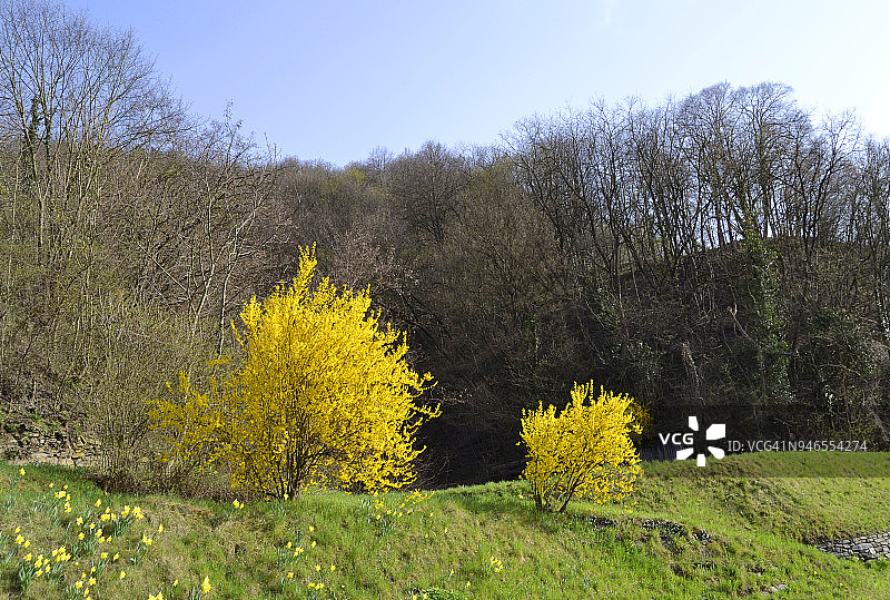 春意盎然图片素材