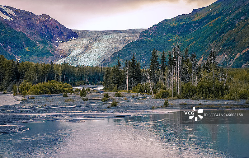 阿拉斯加州的出口冰川图片素材