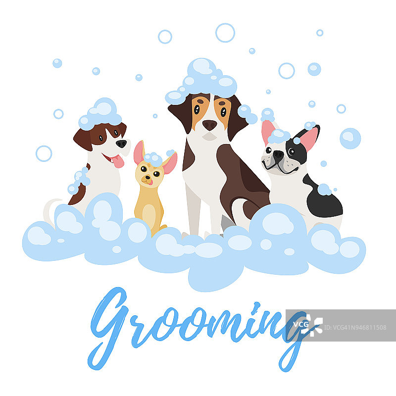 在肥皂泡沫中的狗图片素材