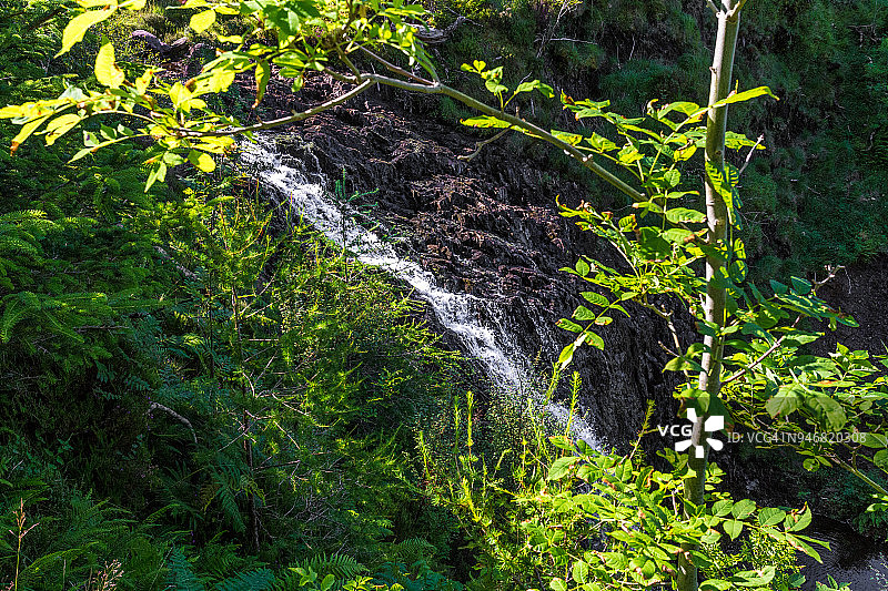 森林瀑布景观图片素材