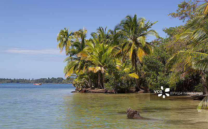 博卡德尔德拉戈，博卡斯德尔托罗，巴拿马图片素材