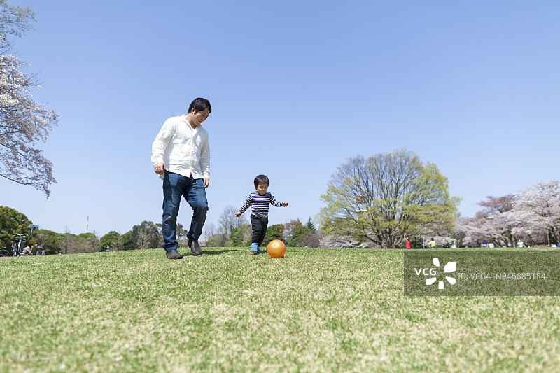 父子享受春天图片素材