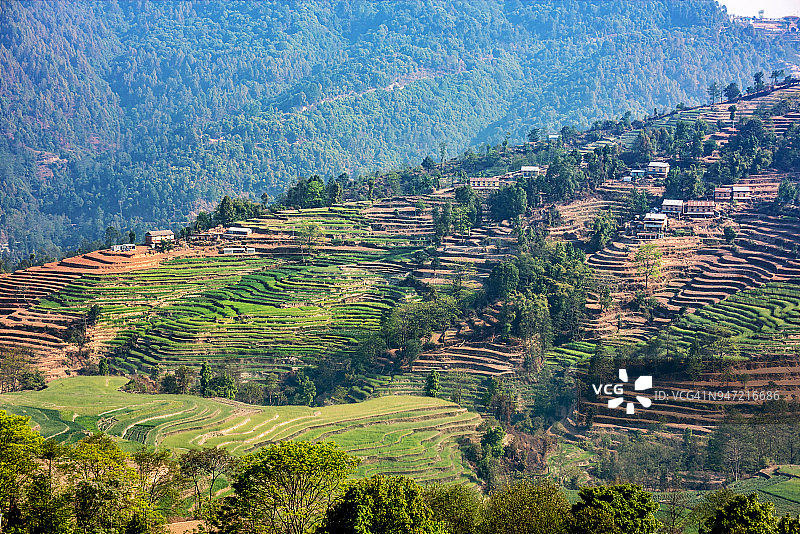 梯田种植图片素材