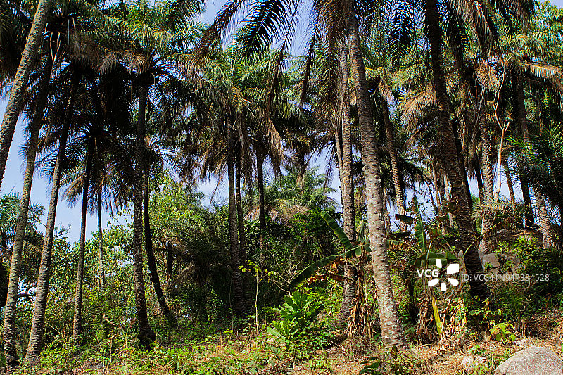 几内亚的房间岛图片素材
