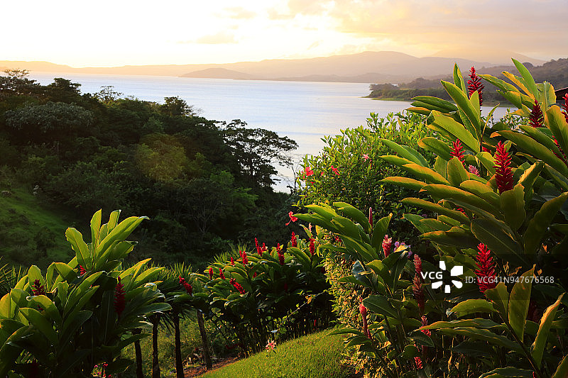 阿雷纳尔湖与火山图片素材