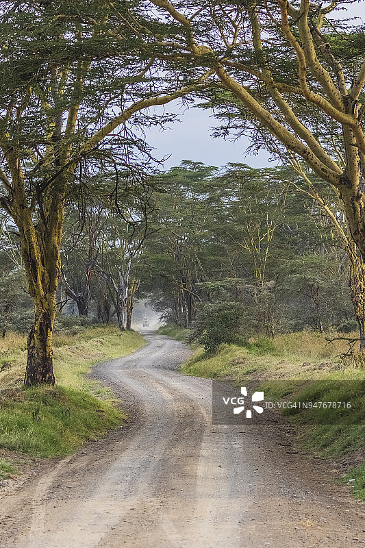 肯尼亚察沃国家公园的土路图片素材