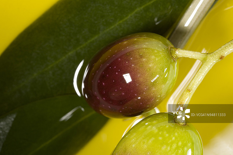 橄榄与油图片素材