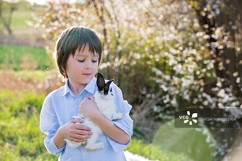可爱的学龄前男孩在户外与小兔子玩耍图片素材