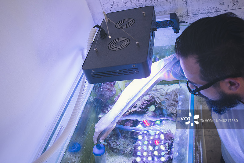 珊瑚礁鱼缸维护图片素材