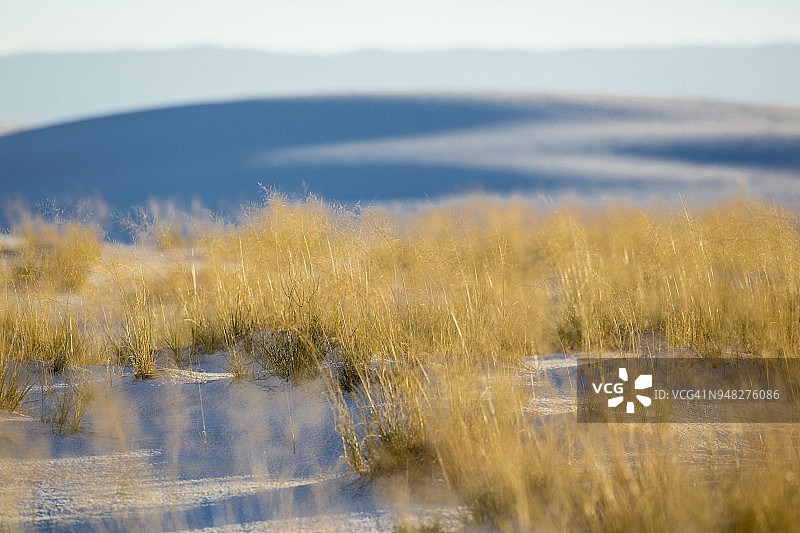 沙丘与草地图片素材