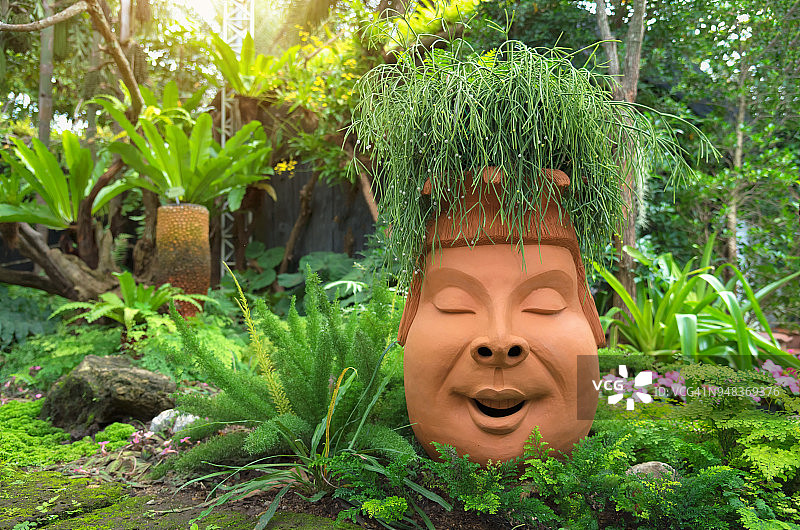 公园里棕色陶罐中生长的绿树图片素材