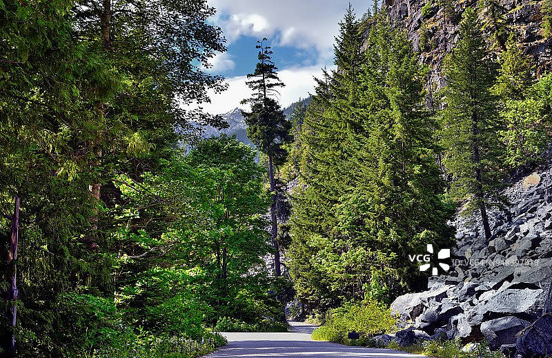 斯特赫金河沿岸的树木图片素材