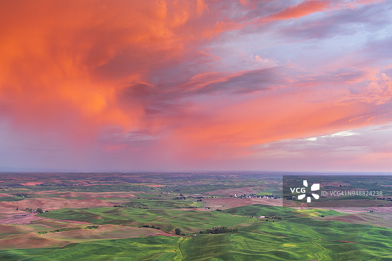连绵起伏的麦田日落景色图片素材