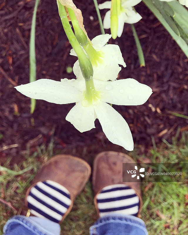 春天花园视图图片素材