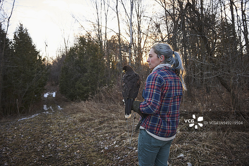 女猎鹰人图片素材