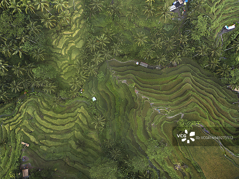 德格拉朗梯田鸟瞰图图片素材