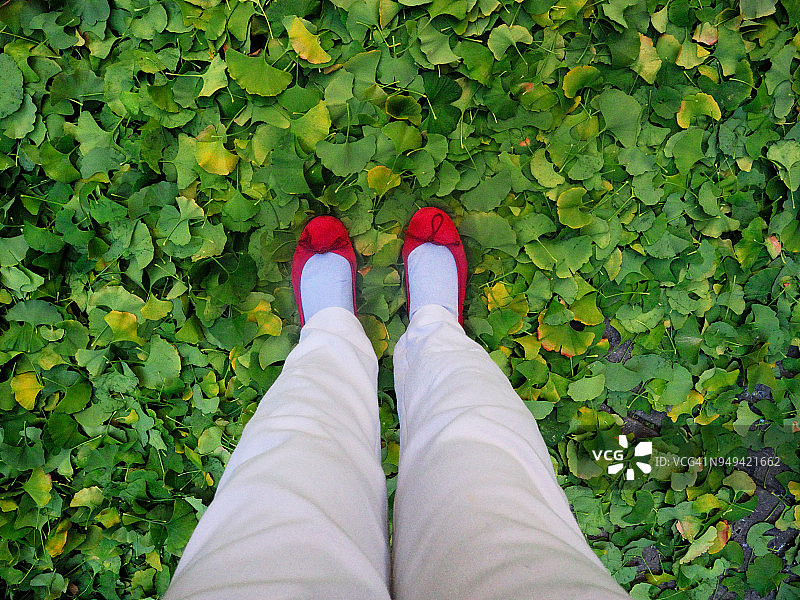 落叶上的红色拖鞋图片素材