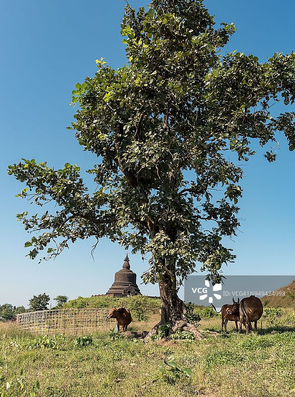妙塔宗佛塔，妙乌图片素材