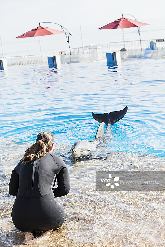 海豚与训练员合作图片素材