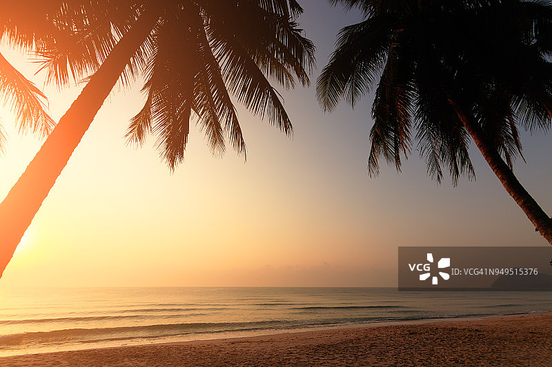 印度洋热带岛屿日出时棕榈树和多云天空的黑色剪影图片素材