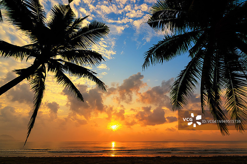 泰国涛岛热带海滩日落，椰子树和船只图片素材
