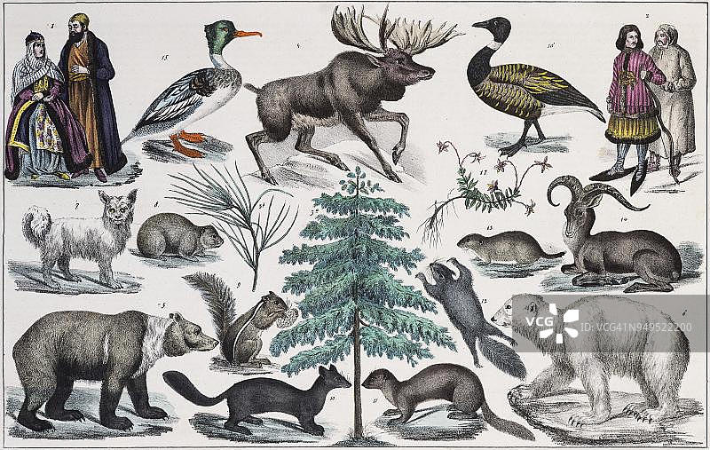 亚洲北部地区手绘地图，包含俄罗斯、西伯利亚、堪察加半岛、新地岛，斯图加特1846年图片素材