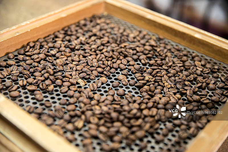 加工厂检查前的托盘上的烘焙咖啡豆图片素材