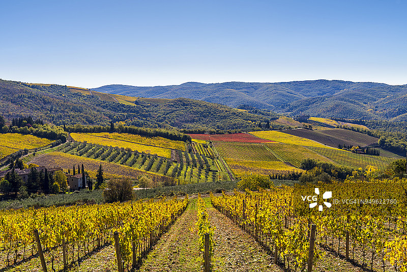 基安蒂拉达，锡耶纳省，托斯卡纳图片素材