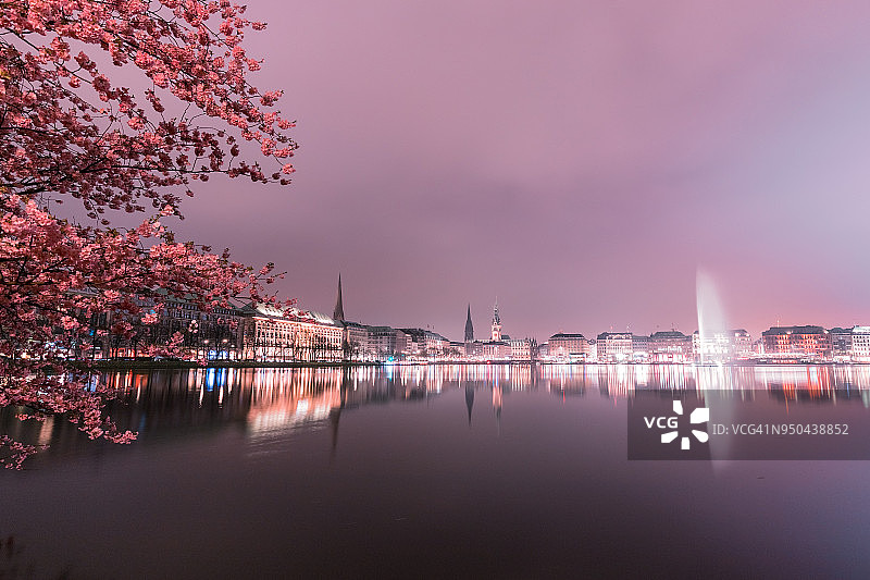 德国汉堡春季内阿尔斯特湖和盛开的树图片素材