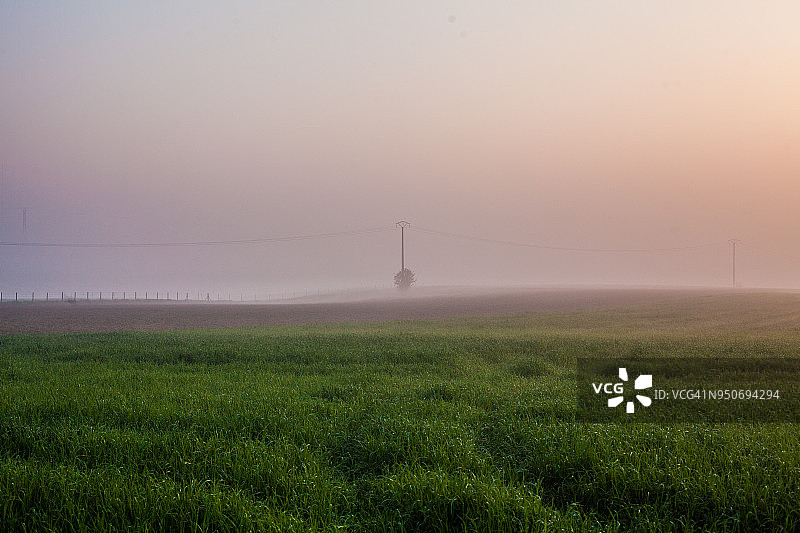 田野中的晨雾图片素材