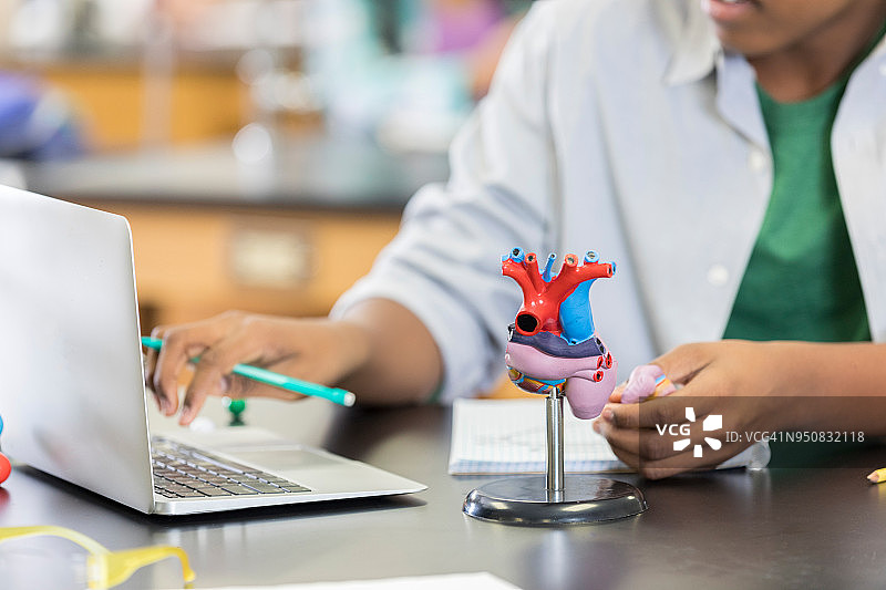 高中生学习关于人类心脏的知识图片素材