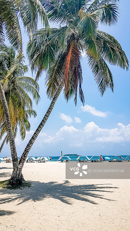 哥伦比亚圣安德列斯岛图片素材