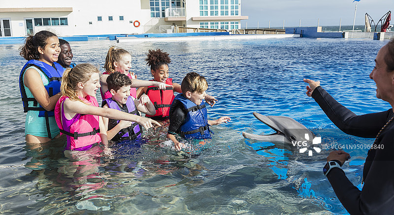 孩子们，驯养员在水中与海豚互动图片素材