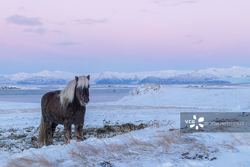 冰岛马雪山雪景图片素材