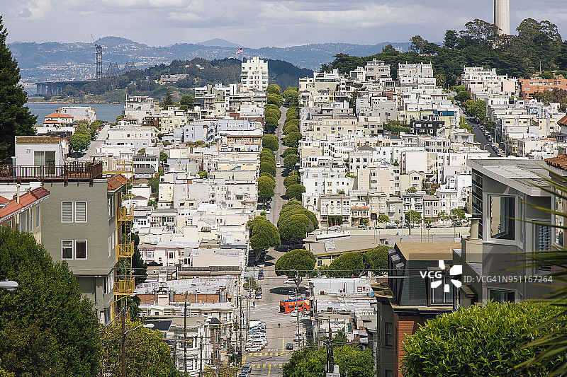 美国加利福尼亚州旧金山电报山高角度城市景观图片素材