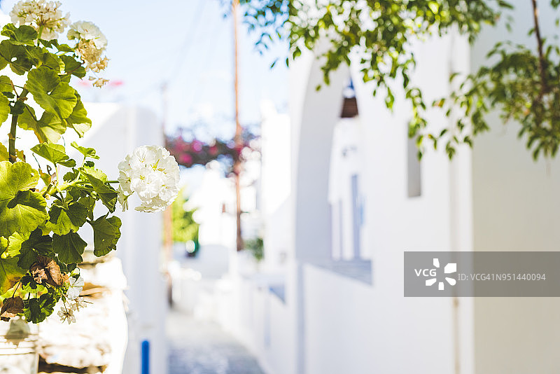 霍拉 - 福莱甘兹罗斯图片素材