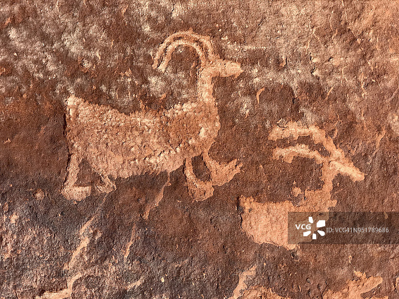 犹他州圆顶礁国家公园弗里蒙特河的野山羊岩画图片素材