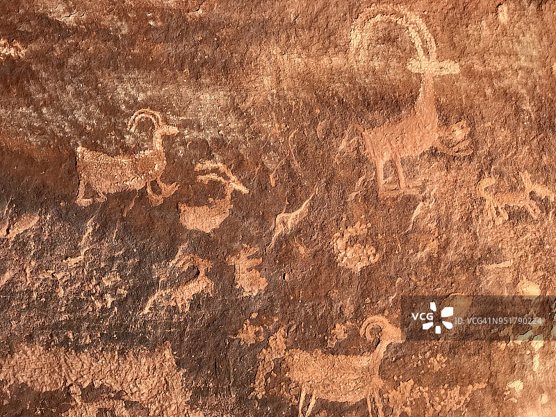 犹他州圆顶礁国家公园弗里蒙特河的野山羊岩画图片素材