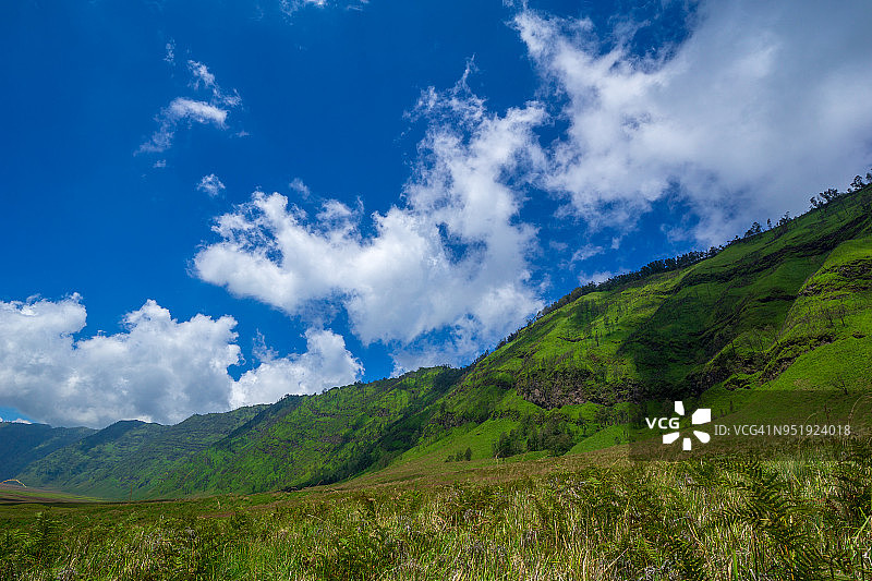 婆罗摩的萨凡纳，一个全年绿色的丘陵地区，人们常称之为天线宝宝山图片素材