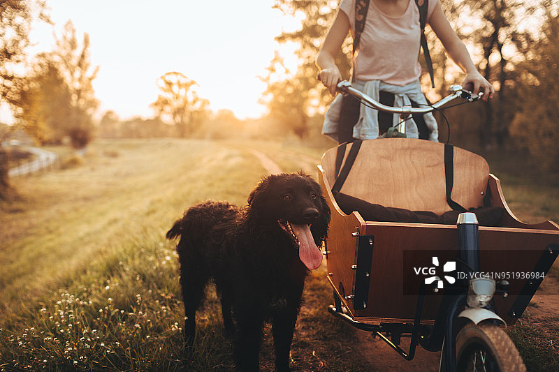 和我的狗一起兜风图片素材